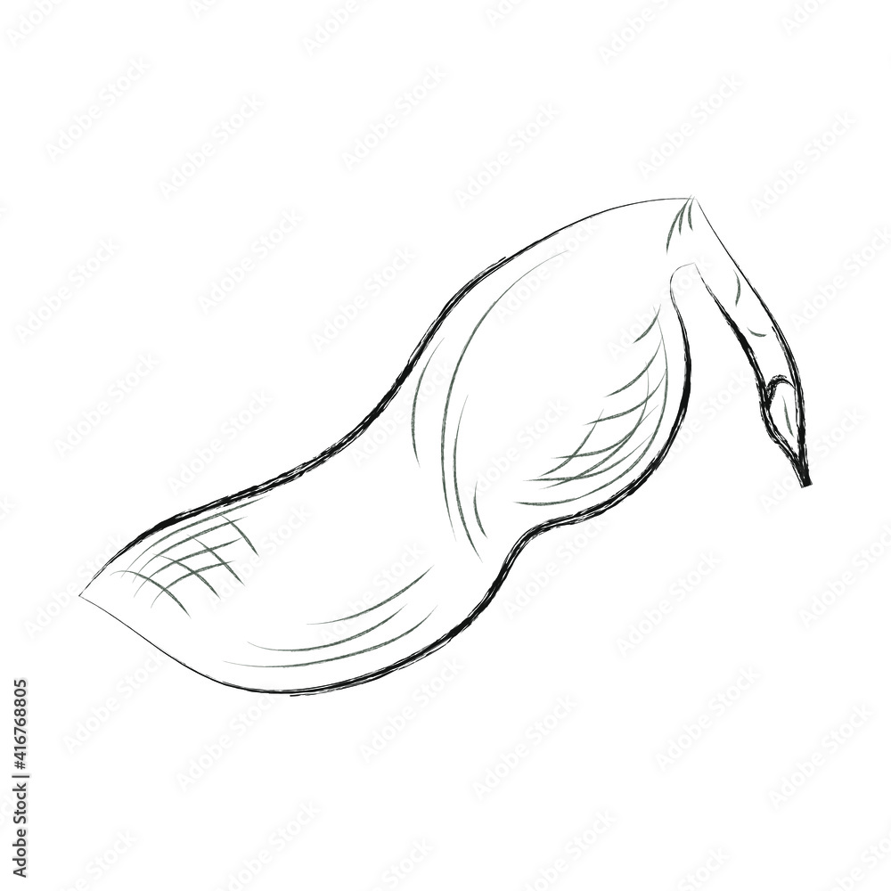 Obraz premium Velvet tamarind. Healthy vegan food for vegetarian concept. Black and white hand drawn charcoal drawing. Vector illustration. Isolated on white.