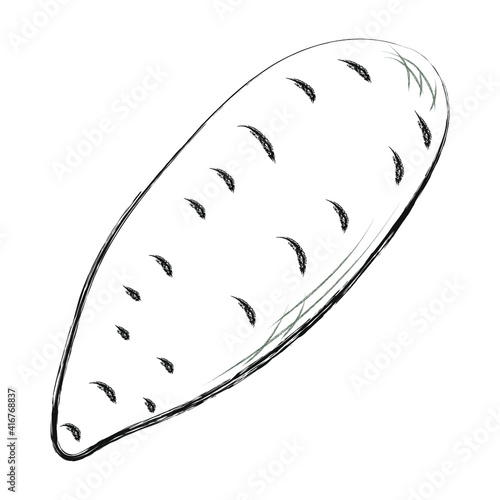 Yam. Healthy vegan food for vegetarian concept. Black and white hand drawn charcoal drawing. Vector illustration. Isolated on white.