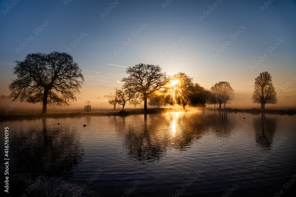 Bushy Park lake at dawn with the mist coming in