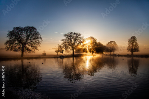 Bushy Park lake at dawn with the mist coming in