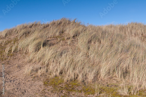 Fototapeta Naklejka Na Ścianę i Meble -  Scenic view of the sand dunes at Braunton Burrows in North Devon. These sand dunes are a wildlife reserve and popular walking spot.
