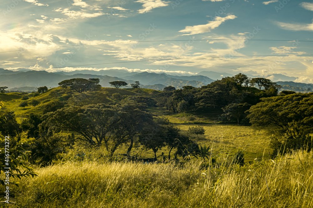 Fototapeta premium landscape in the mountains