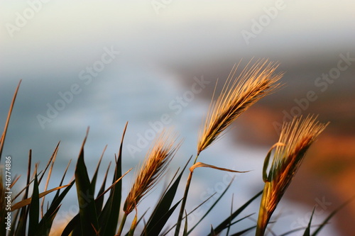 Point Reyes South Beach Overlook