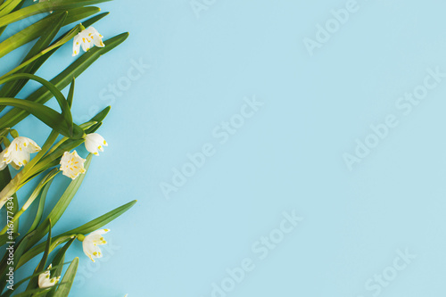 Spring flowers border on blue paper flat lay. Floral greeting card  space for text. Earth day