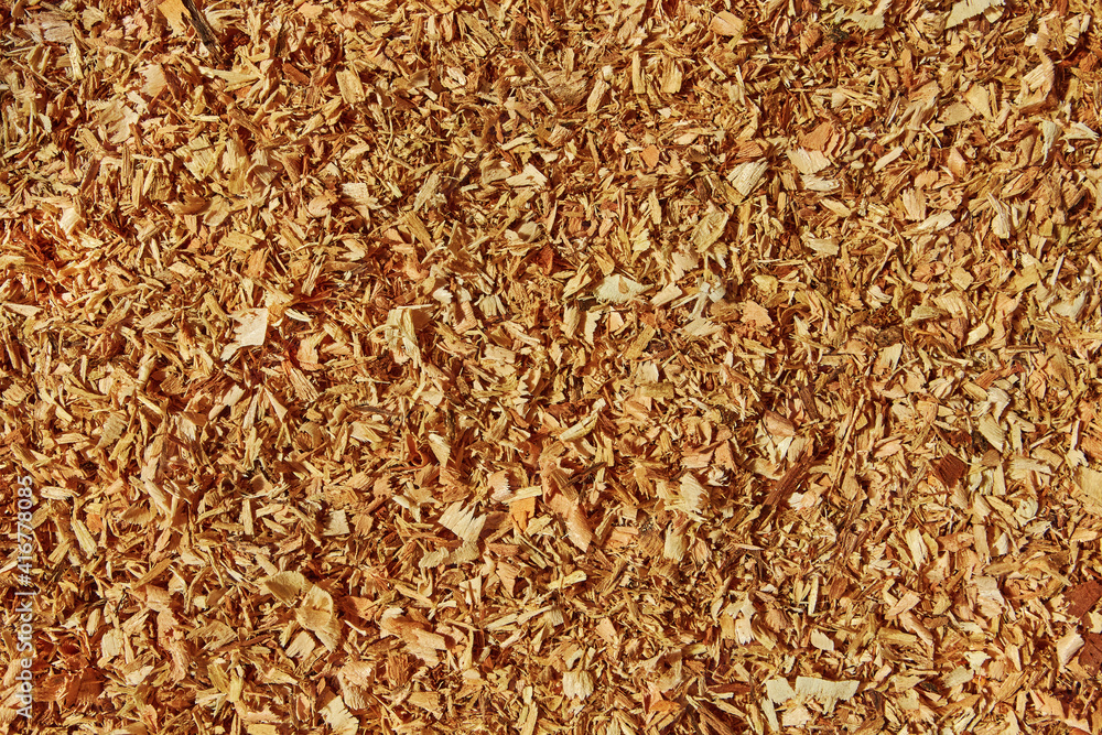 sawdust sawdust