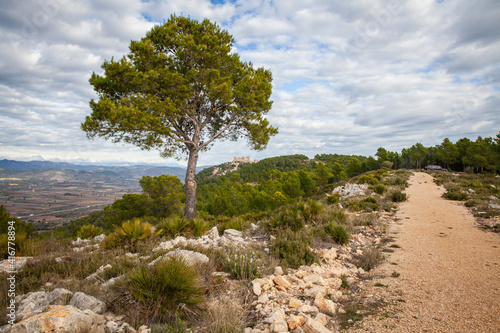 Hiking trail landscape in Sierra de Irta National Park Spain