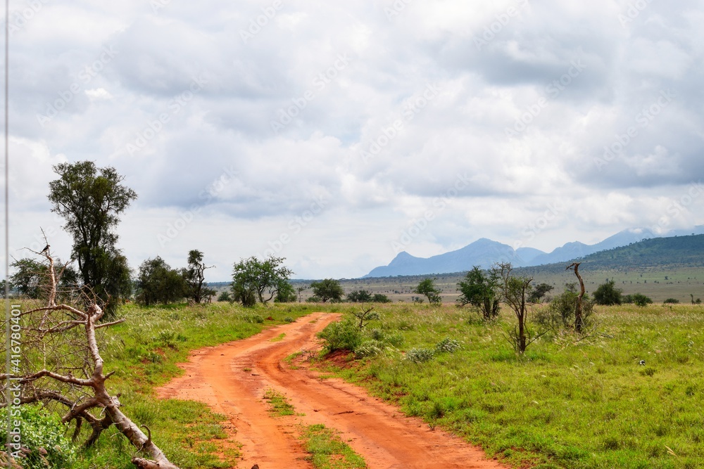 Scenic view of the savannah grassland landscapes in Tsavo National Park, Kenya
