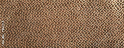 Wallpaper Mural snakeskin leather dark brown background Torontodigital.ca