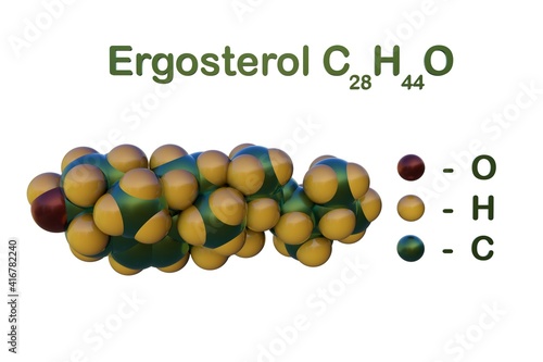Fototapeta Naklejka Na Ścianę i Meble -  Structural chemical formula and space-filling molecular model of ergosterol or provitamin D2, a sterol found in cell membranes of fungi and protozoa. 3d illustration