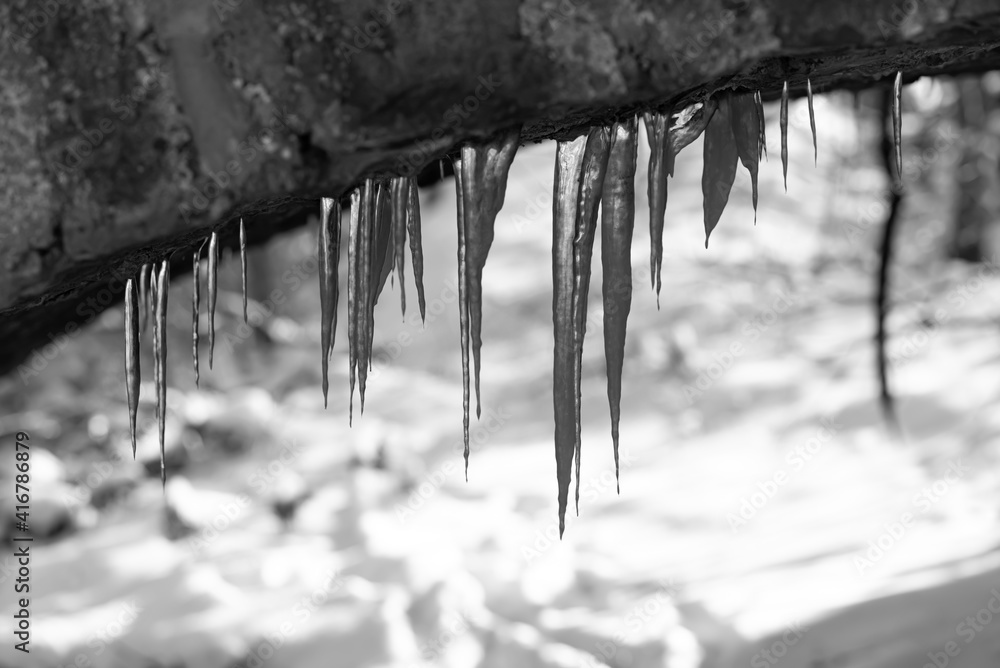Eizzapfen Winter Graustufen schwarz weiß KontrastMakro transparent klar durchscheinend Detail Tropfen klar kristall gefroren Frost Kälte Nahaufnahme Fokus Sauerland Idyll Reflex schmelzen hängend Eizzapfen Winter Graustufen schwarz weiß KontrastMakro transparent klar durchscheinend Detail Tropfen klar kristall gefroren Frost Kälte Nahaufnahme Fokus Sauerland Idyll Reflex schmelzen hängend