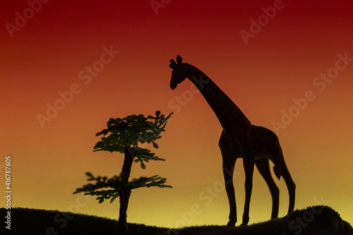 Giraffe und Affenbrotbaum in Afrika