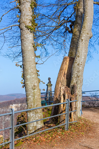 monument of Hauff at the castele Lichtenstein photo