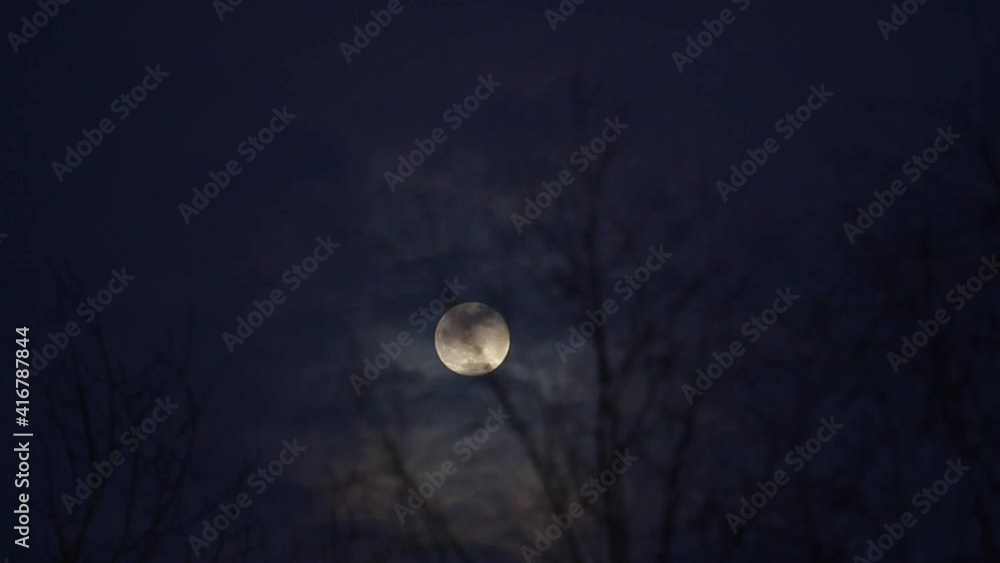 Full moon at night through windy trees and moving clouds. Dark blue evening sky. Full moon at night through windy trees and moving clouds. Dark blue evening sky.