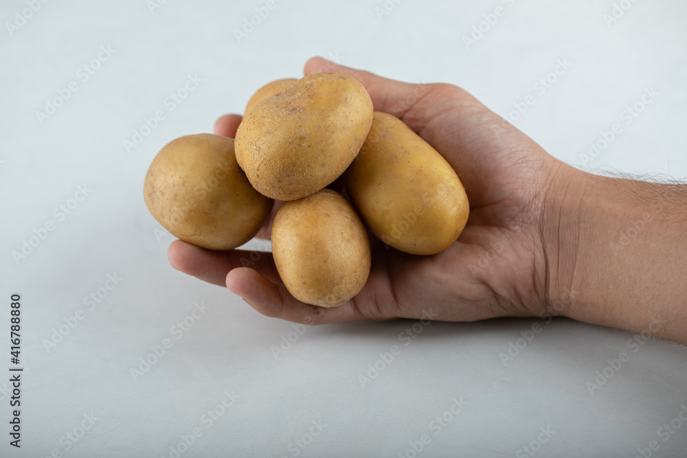 Close up photo of male hand holding pile of potatoes on white background Close up photo of male hand holding pile of potatoes on white background