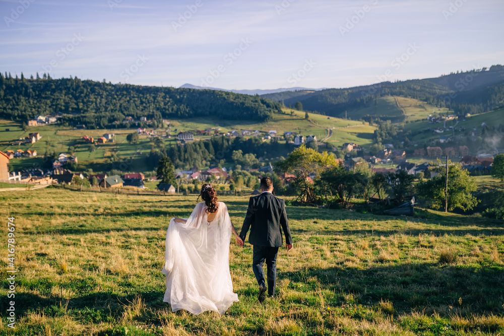a newlywed couple holding hands is walking on a meadow in the mountains. back view.