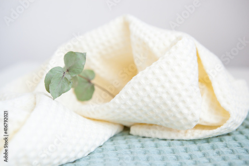 white and green towels, a branch of eucalyptus. skin care, home spa