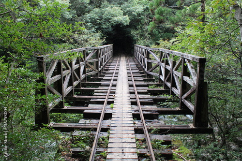 Hiking in Yakushima  Arakawa Trail                                                            