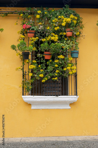 Colonial Scene window, balcony, traveling South america. Latin American Culture (ID: 416793674)