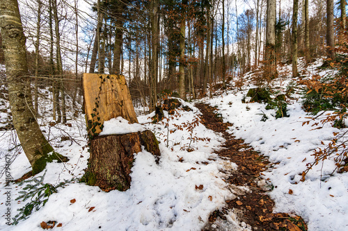 Winter landscape at the resort Bermatingen photo