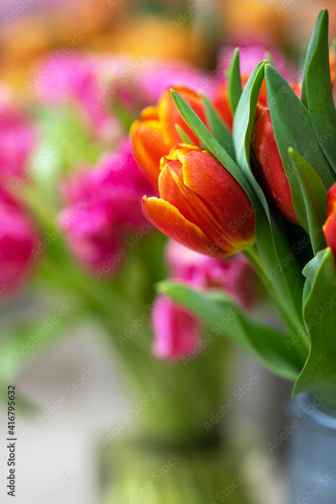 Fototapeta premium bouquet of red tulips in a vase on a colorful floral background