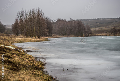 Frozen pond  ice  reeds and winter