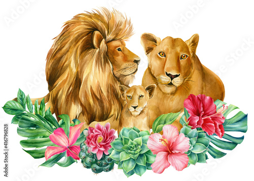 Quadro em tela Lions family on isolated white background watercolor painting