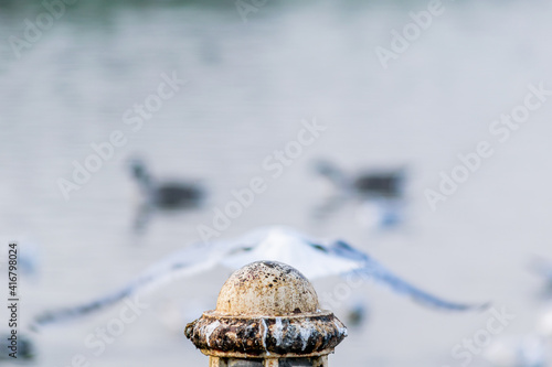 Closeup on an old metal pole with seagull flying off it in the background, lost opportunity concept, blocking pole top isolated and focused, bird flew off and not comming back