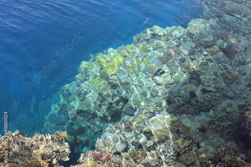 Scenic landscape of Egyptian coral coast with transparent clean water. Colorful textured backdrop with coral fishes under water. Wild life of the clear Red Sea.