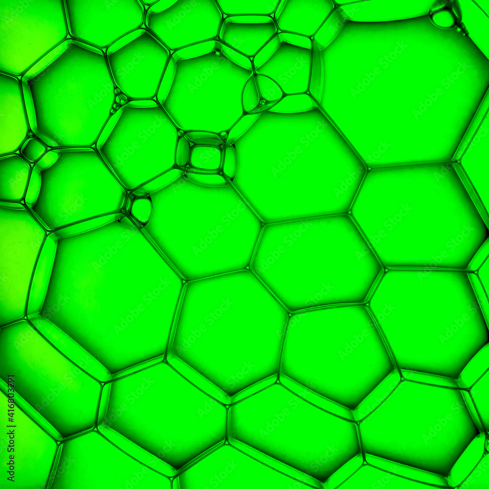 Photography of Soap Bubble Photography of Soap Bubble