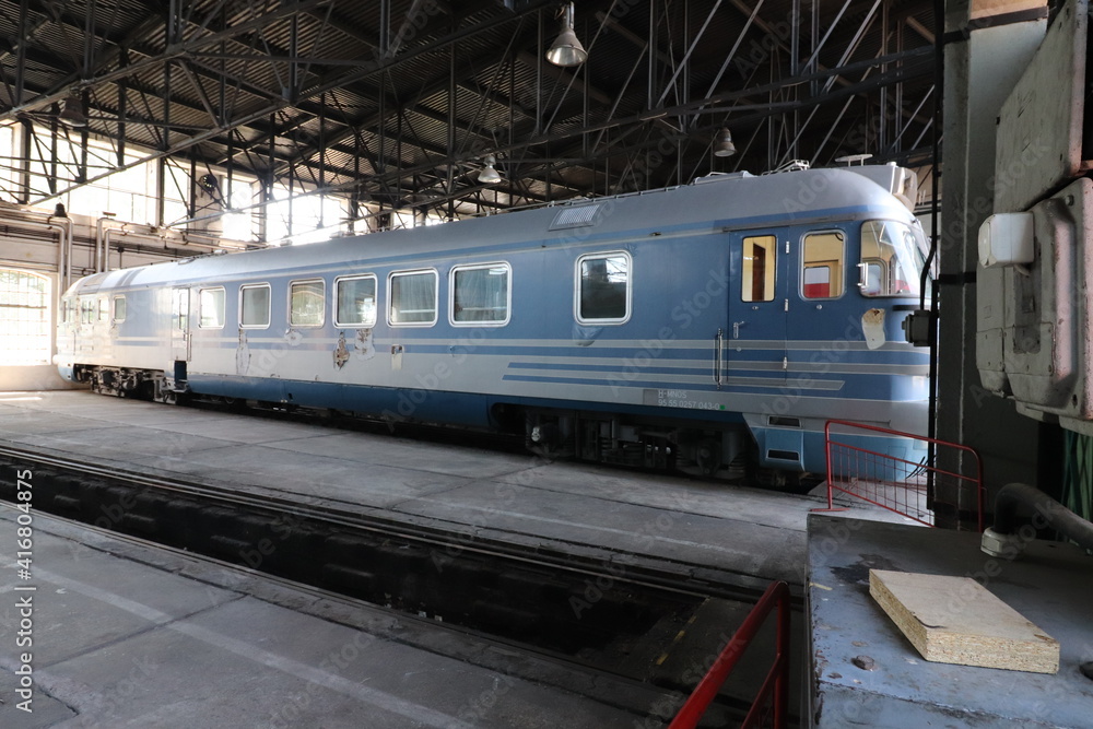 Fototapeta premium Lok