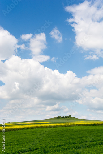 żółte i zielone pola, pagórek, błękitne niebo z białymi obłokami