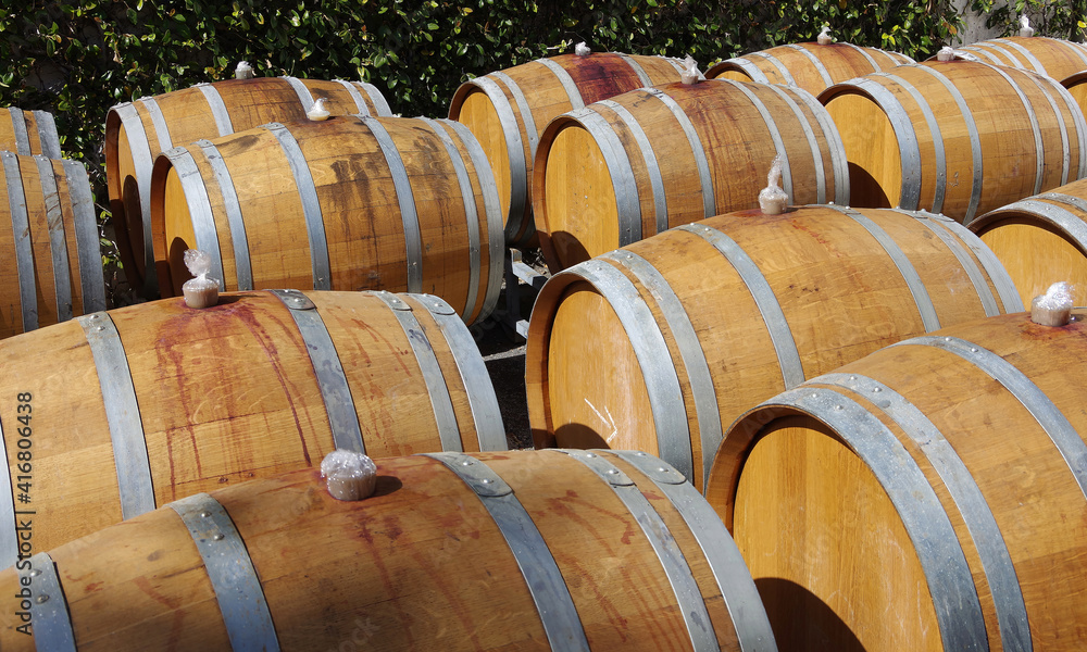 Plenty of freshly filled wine barrels