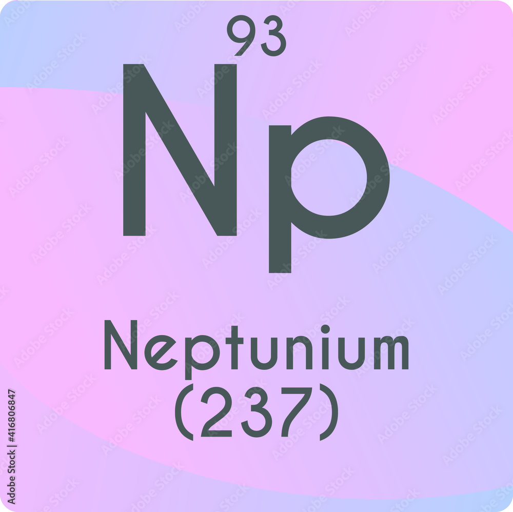 Np Neptunium Actinoid Chemical Element vector illustration diagram, with atomic number and mass. Simple gradient flat design For education, lab, science class.
