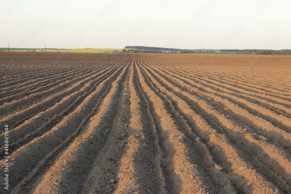 Rows of plough land with planted potatoes in spring, empty clean agriculture field, background and texture for your design, copy space, eco farming and organic agriculture concept Rows of plough land with planted potatoes in spring, empty clean agriculture field, background and texture for your design, copy space, eco farming and organic agriculture concept