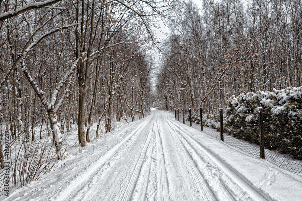 Obraz premium Winter snowy road