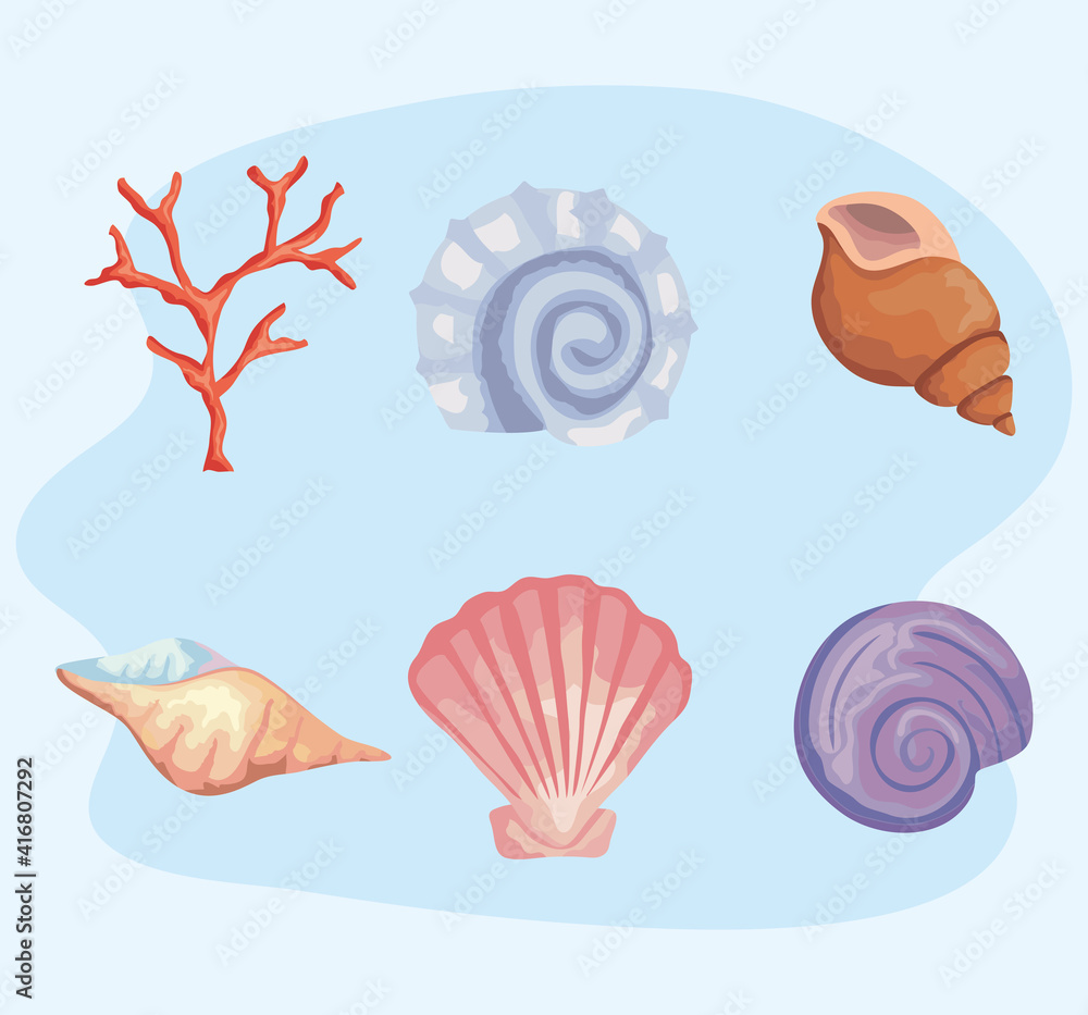 bundle of six sea shells colors set icons vector illustration design bundle of six sea shells colors set icons vector illustration design