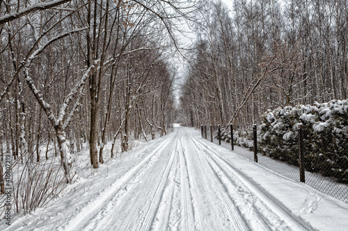 Winter snowy road © wajan