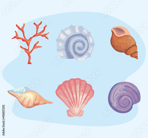 bundle of six sea shells colors set icons vector illustration design
