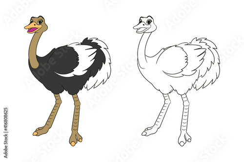 long legged cute ostrich coloring book for kids. Vector isolated line art illustration, in cartoon style