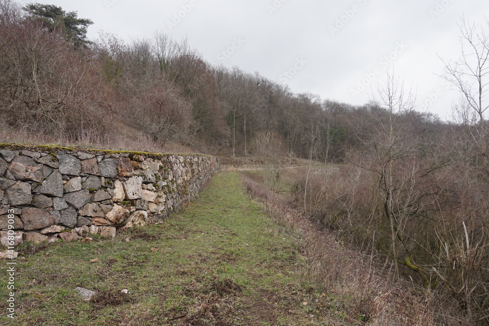 Path along stone wall in forest