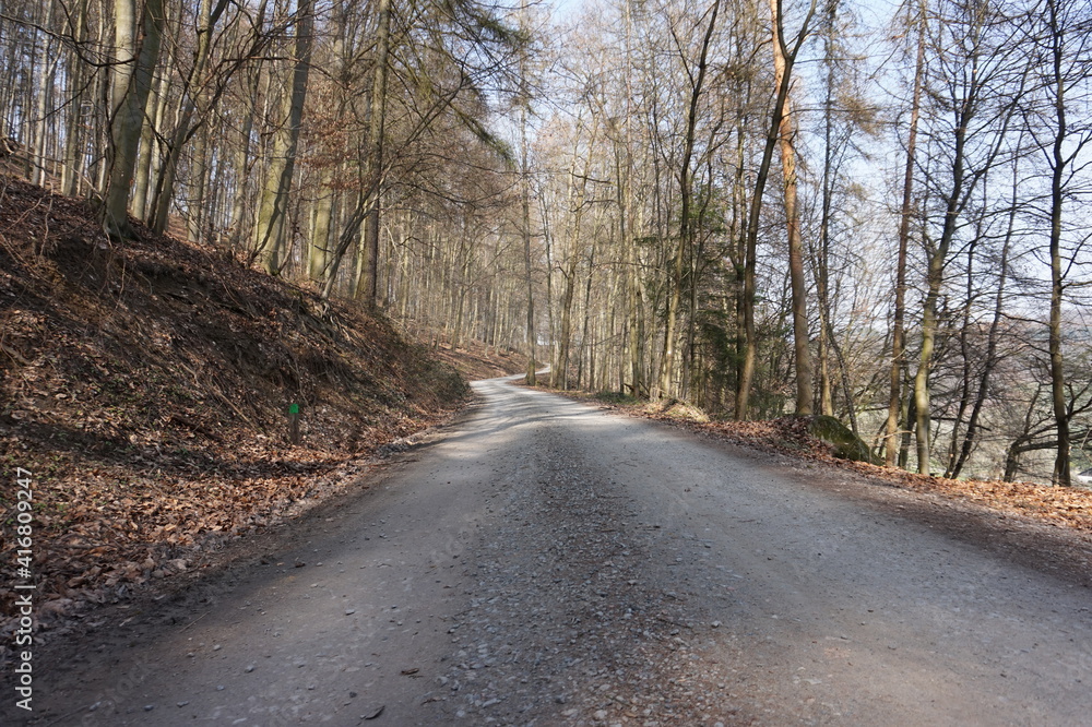 road in the woods road in the woods