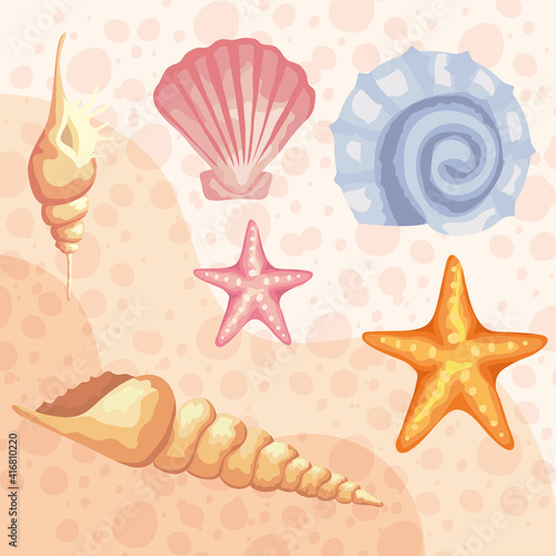 bundle of six sea shells colors set pattern vector illustration design
