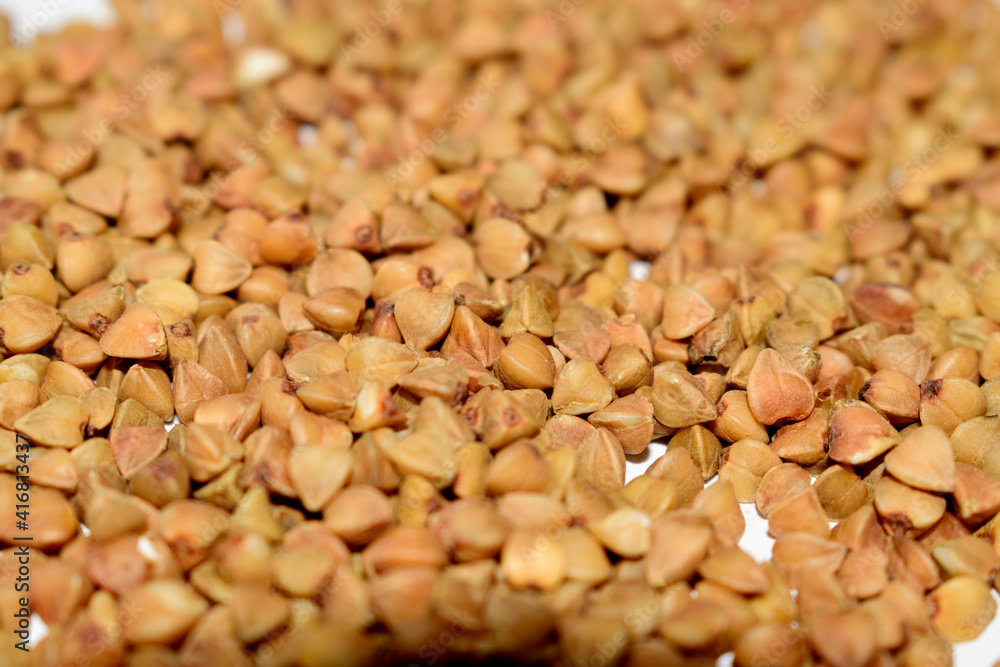selective focus on placer buckwheat close up selective focus on placer buckwheat close up