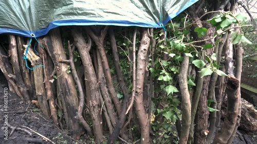 A man building a bushcraft shelter with logs and a tarpaulin  photo