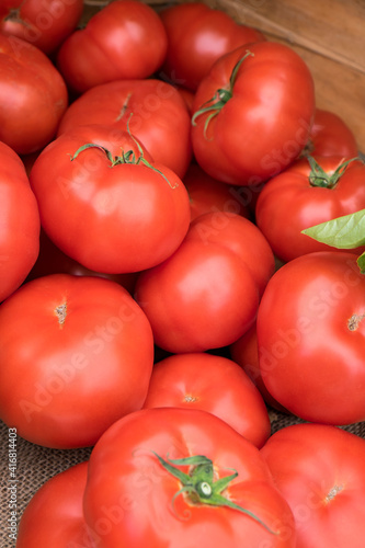 Fresh tomatoes  USA