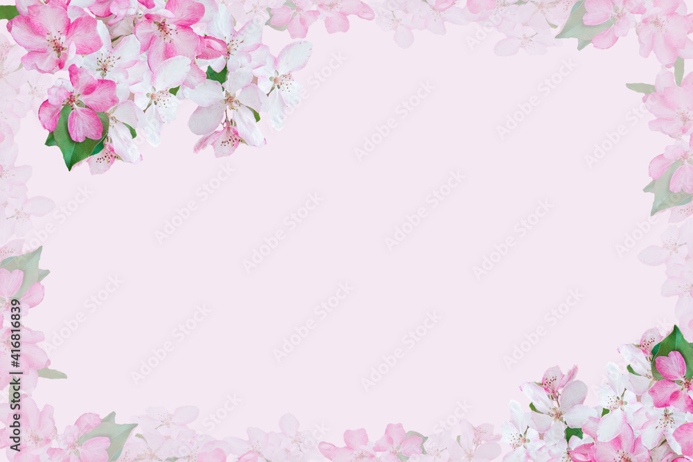 Spring blossom frame, toned,  flower background, pastel and soft floral card. Flat lay, top view, copy space . Banner