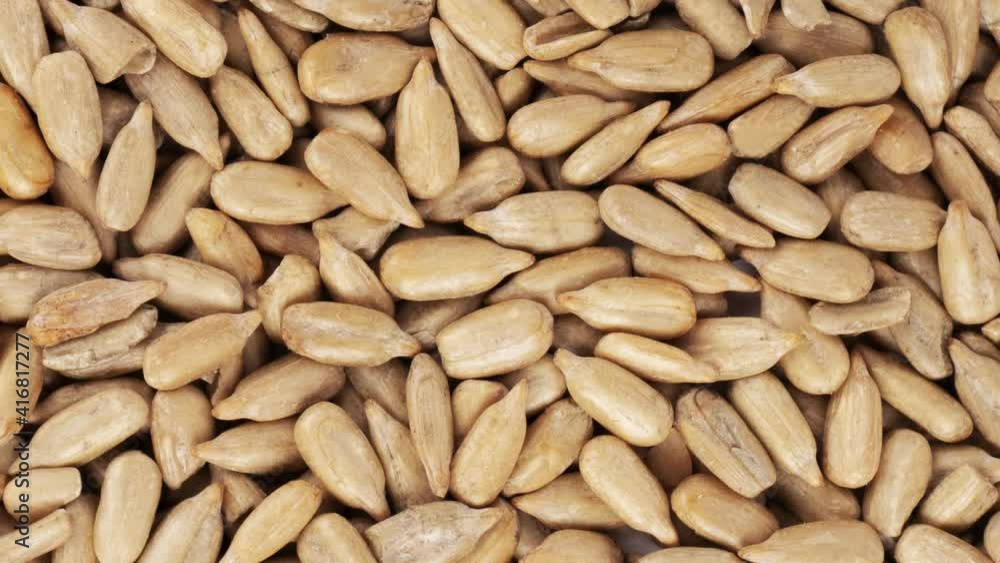Slowly rotating sunflower seeds background. Top view Slowly rotating sunflower seeds background. Top view