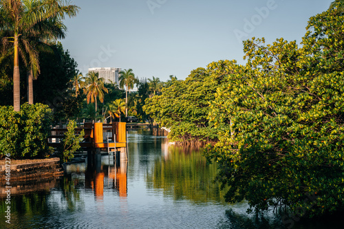 lake river landscape nature sky pier trees palms miami florida usa beautiful green