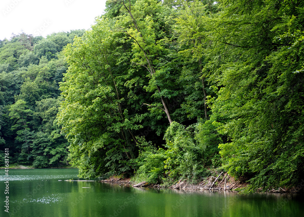 lake with green water from the reflection of nearby growing green trees in the daytime lake with green water from the reflection of nearby growing green trees in the daytime