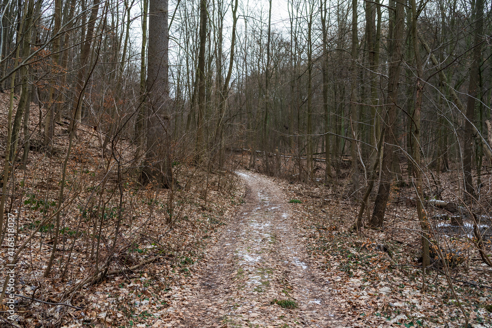 Late fall. Hiking trail in the forest. Late fall. Hiking trail in the forest.